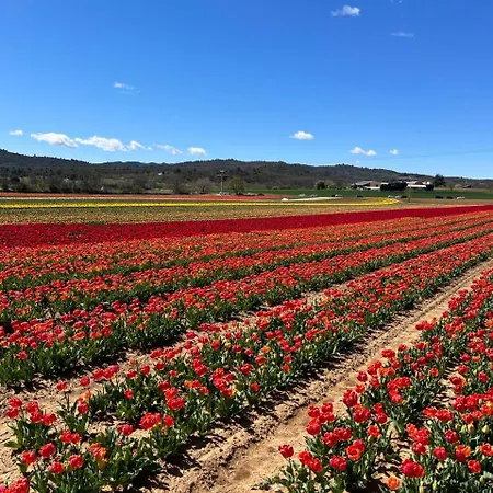 Διαμέρισμα Provence Sweet