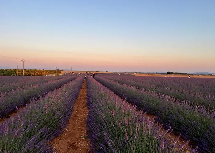 Apartment Provence Sweet Manosque