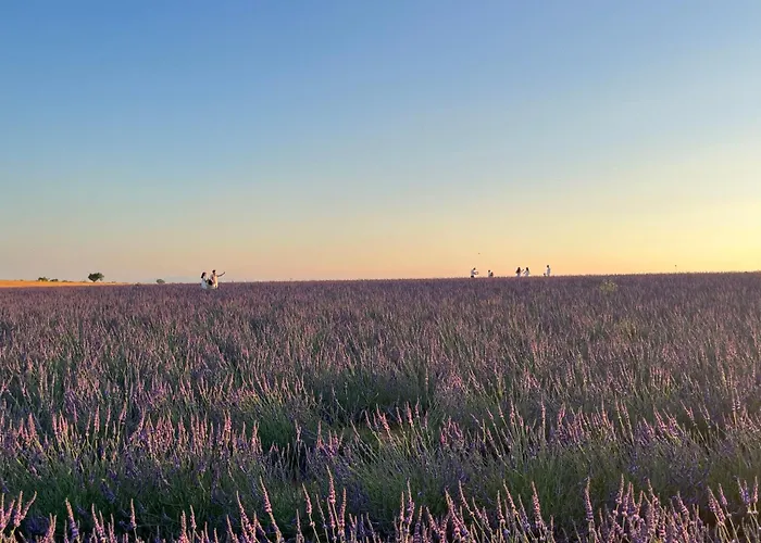 Apartment Provence Sweet Manosque