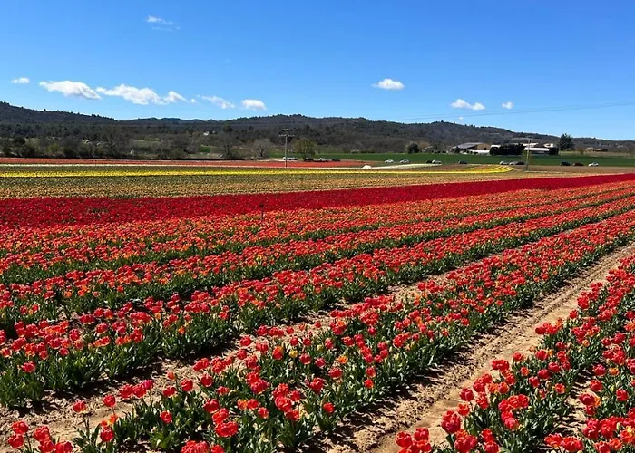 Apartment Provence Sweet