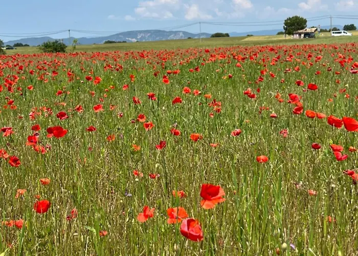 Provence Sweet * Manosque