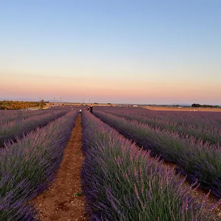 Lejlighed Provence Sweet Manosque