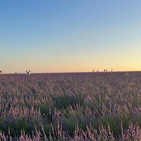 Lejlighed Provence Sweet Manosque