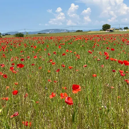 Provence Sweet * Manosque